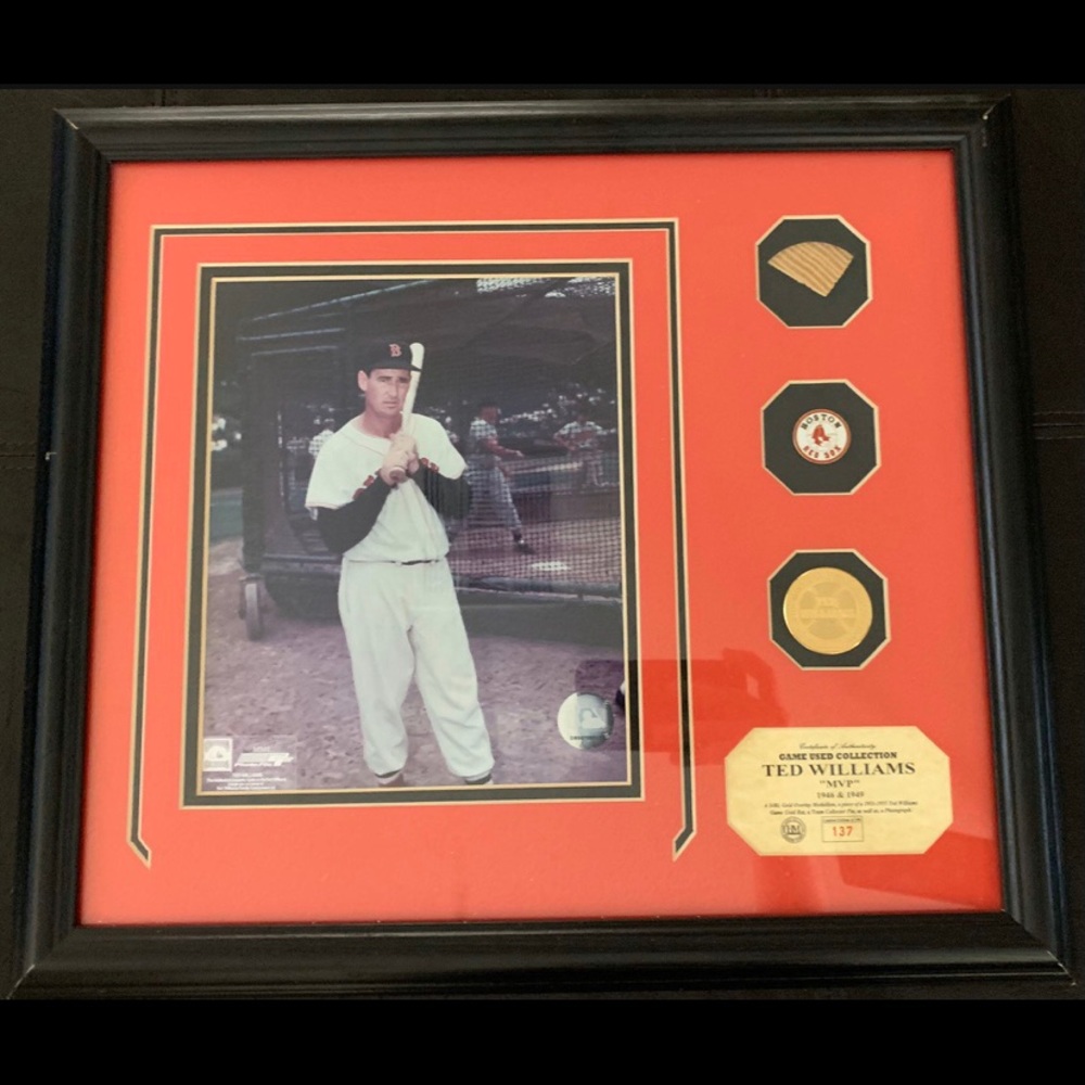 Ted Williams game used bat!
